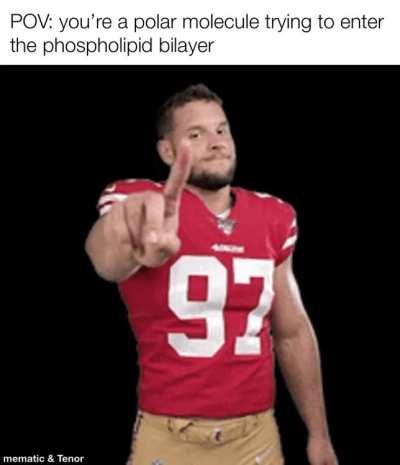 Halt! Who goes there?