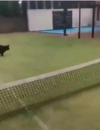 When you mess up real bad but things still work out