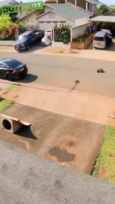 Neighbors have been wondering for several weeks what is knocking on their roof