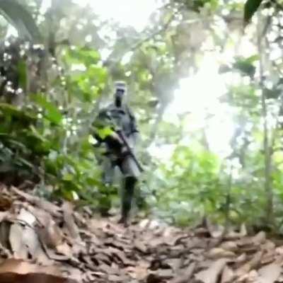 brazilian jungle warriors. In the video, doctor eneas appears and gives a speech against the internationalization of the Brazilian Amazon