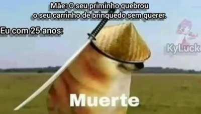 NÃO meu hotweels 😡🖕