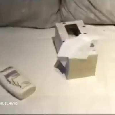 No Nut November is out of this world