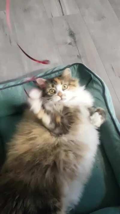 Please enjoy floof with red string