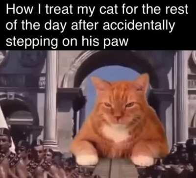 Treat him like a king