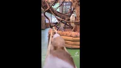 no, don't go that way, turn back