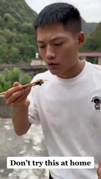 Eating a live wasp