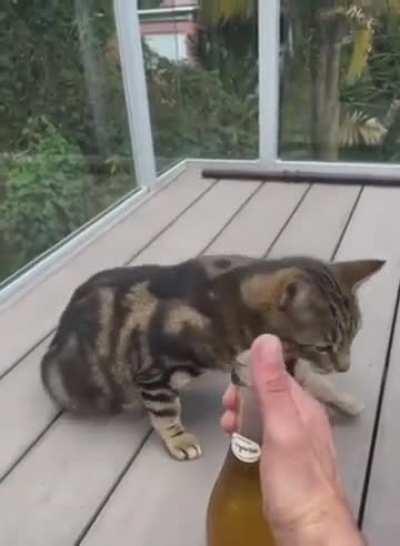 wunkus thunk (thunkus)