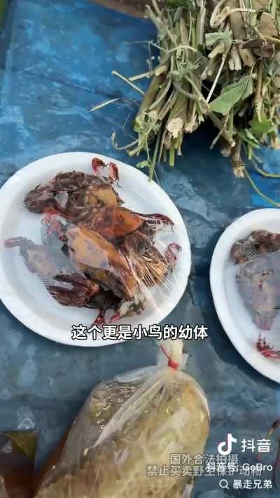 Femboy land delicacy