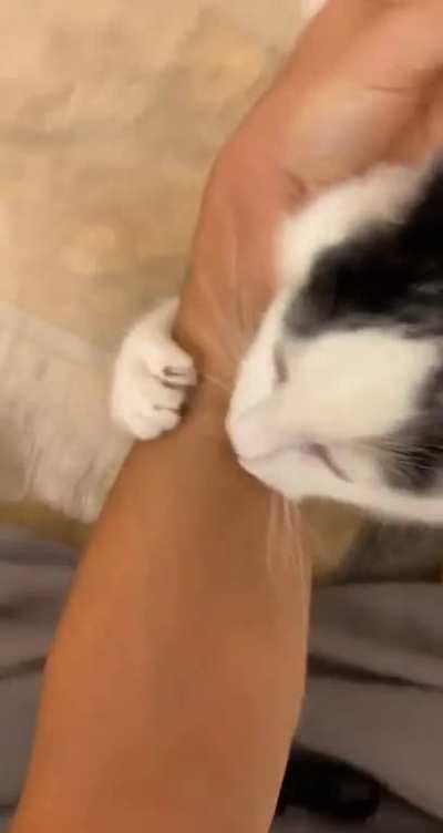 He does this every morning