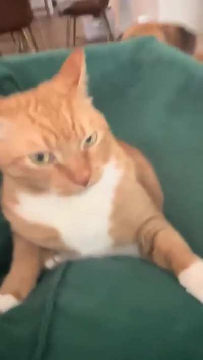 Patience is a virtue