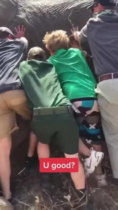 No Good Deed Goes...