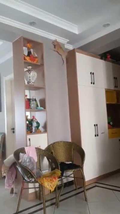 It’s Super Spider Ninja Kitty