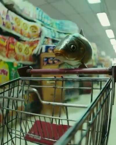 How it feels to be tripping in public