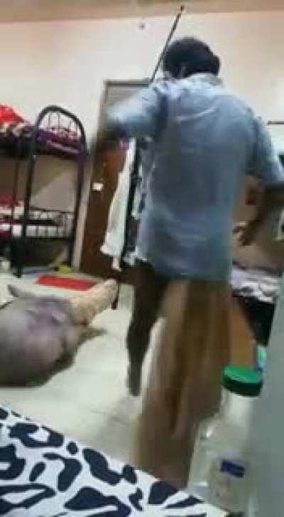 2 men fight for their place on the bunk bed (King of the Hill).