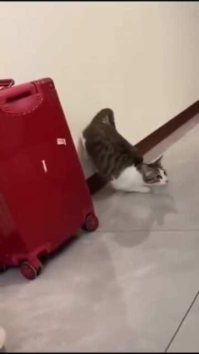 Неожиданно