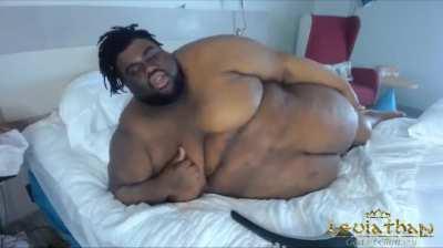 Fly high king 🕊️