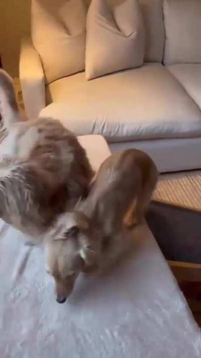 Because they're worth it