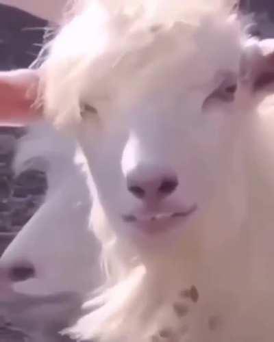 Look like someone you Know?