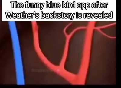 It will be pure chaos.