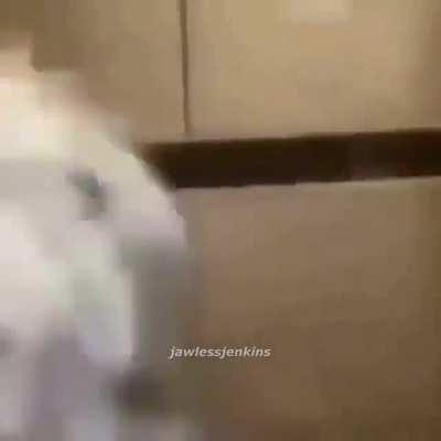 It’s a free country😝 It’s a free country🤪