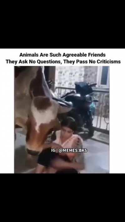 They Are made to be loved not to be in your plate