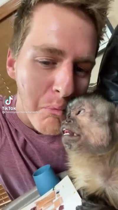 The monkey is mewing and you are not.. shame