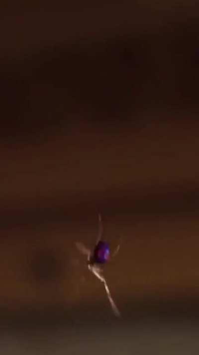 The TVA is always watching