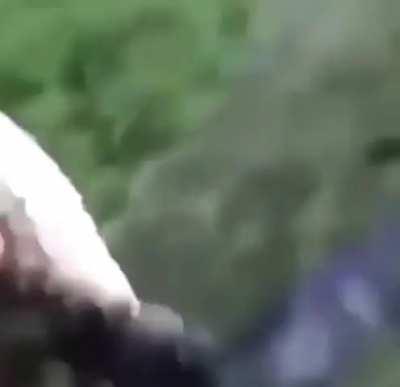 repost because fuck you.