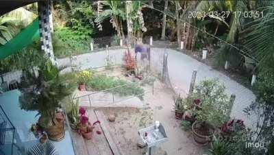 Two neighbours attack eachother