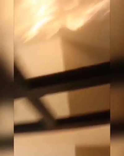 That party took a turn