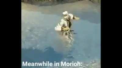 Just looking for a goddamn starfish.