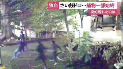 Якудза ловят чмо, тырящее мелочь из ящика для пожертвований синтоистского храма