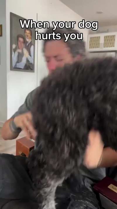 Bully Maguire as a dog