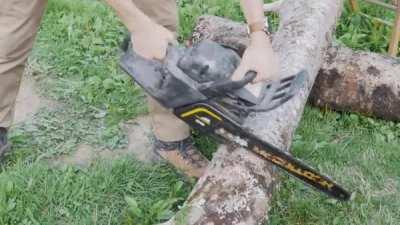 David Attenborough is very confused...