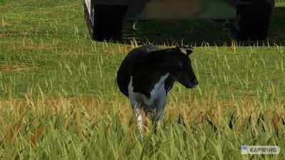 Operation Udderly Important.