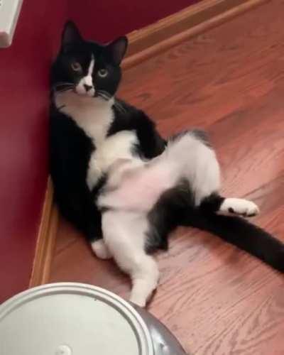 Some days are like that…