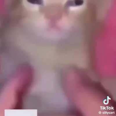 Aandwhy he hate food picky wunk djjfjfkdk