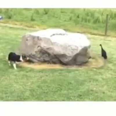 Huyendo de mis problemas