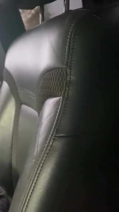 Doggo is going through it 😭