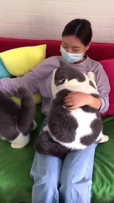 Aw Lawd, He Literally And Figuratively Crushin.