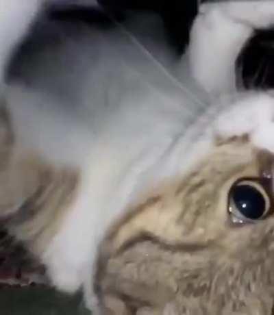 DisTUrBiNg cReATuRe OF thE dArKNESS cRAWlS OuT Of ITs laIr