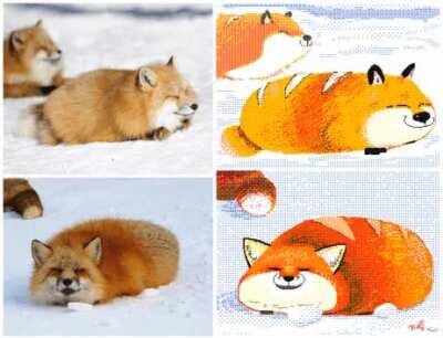 a loaf of fox