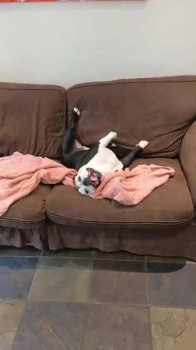 She always acts extra weird after bath time