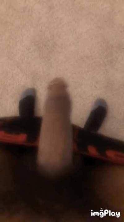 Any women in Atlanta wanna milk this young bbc