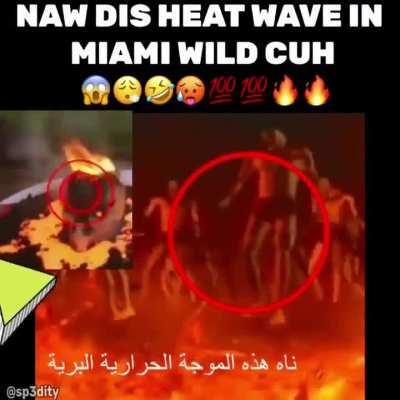 MIAMI STRAIGHT WILDIN