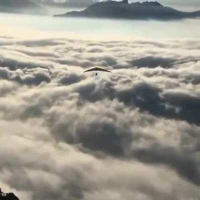 Gliding in the morning