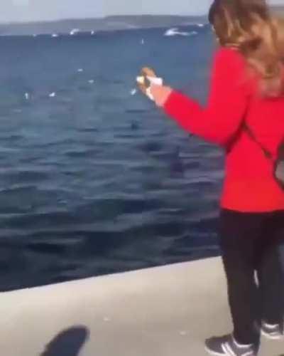 She threw her phone instead of bread 