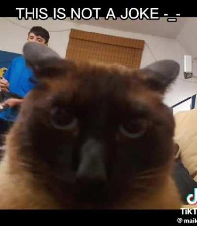 They won’t believe you🥰