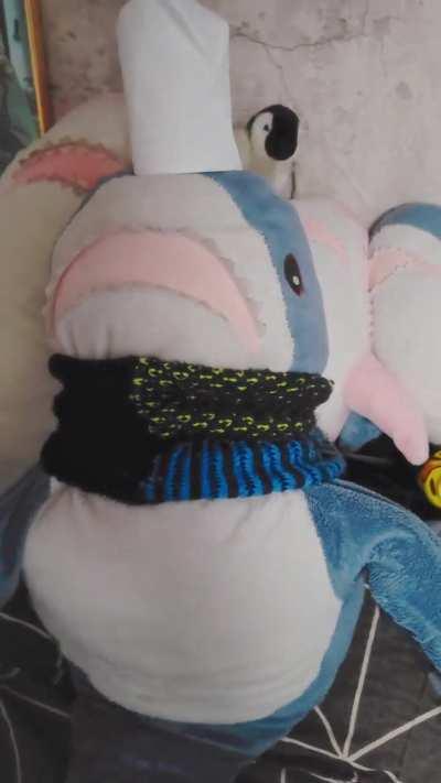 Agent Shark: I am not a tissue holder 😵