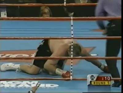 Mike Tyson sending Francois Botha to the Shadow Realm